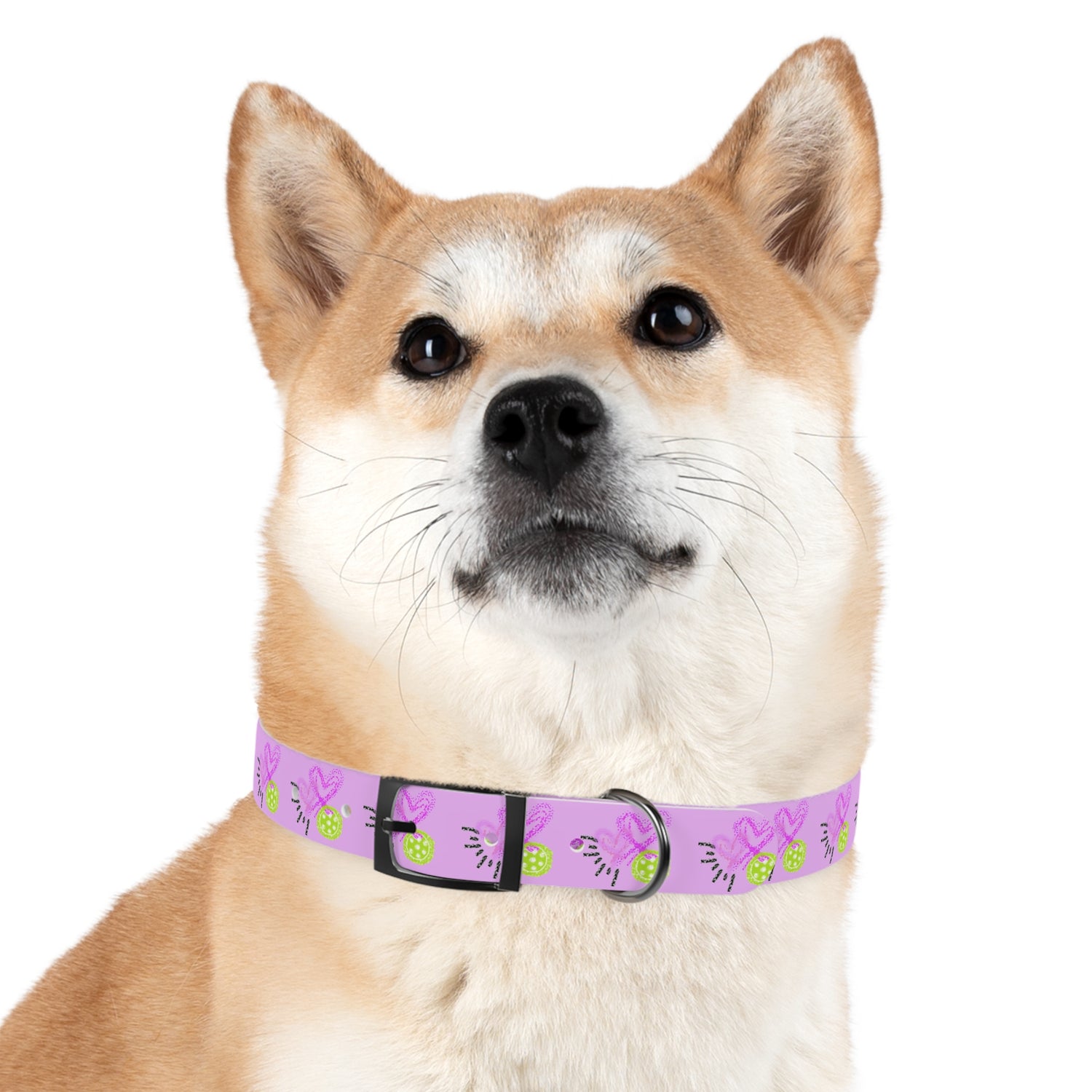 Dog Collar - Pickleball Love Unique Stand Out Design - Perfect for Pet Owners