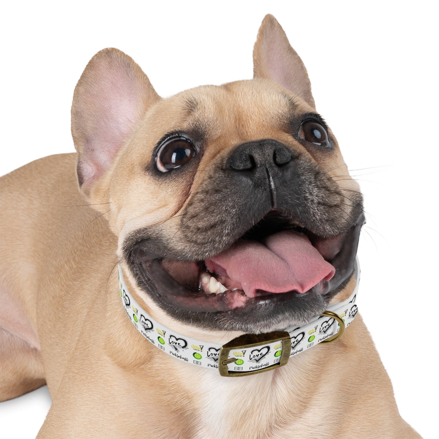 Dog Collar - Pickleball Love Unique Stand Out Design - Perfect for Pet Owners
