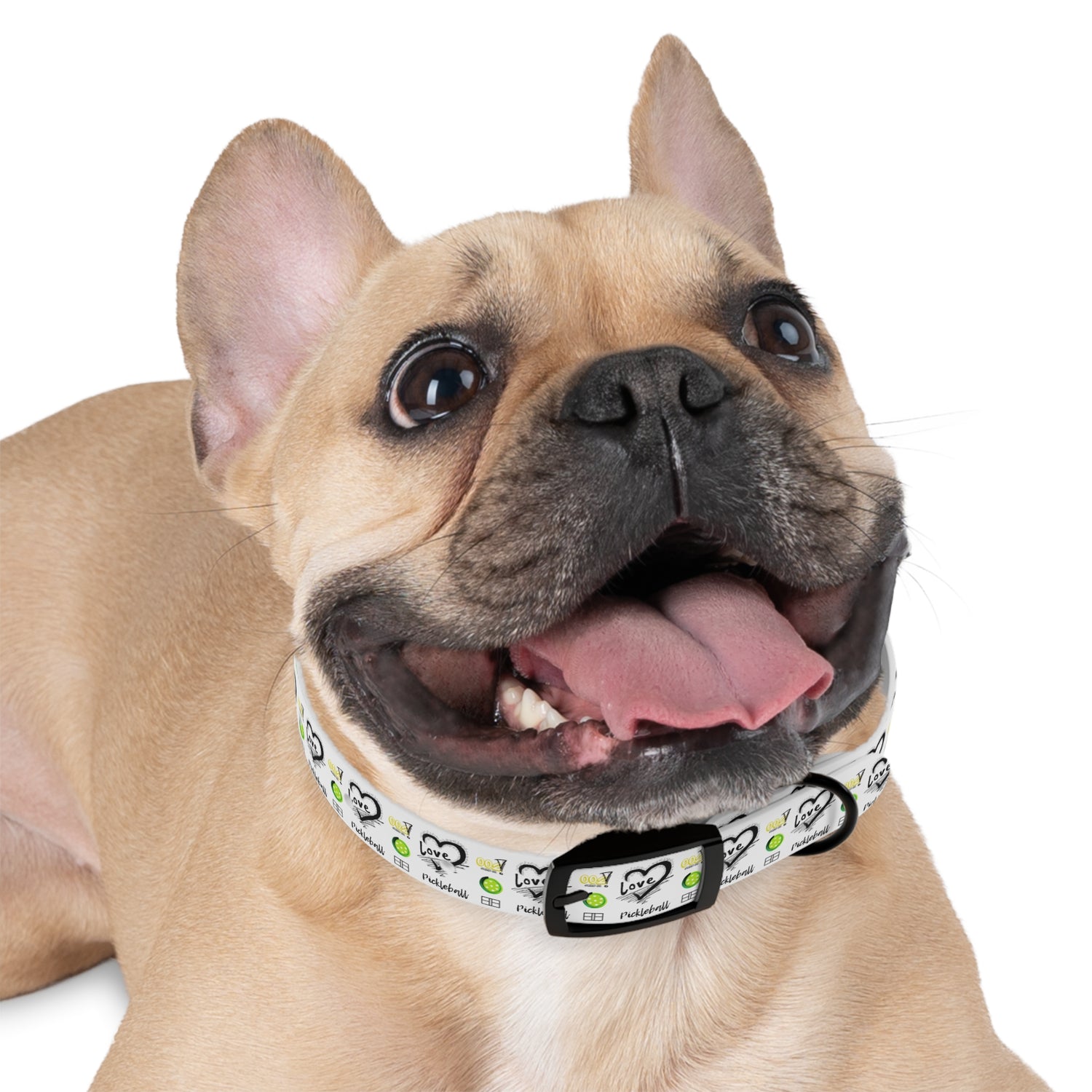 Dog Collar - Pickleball Love Unique Stand Out Design - Perfect for Pet Owners