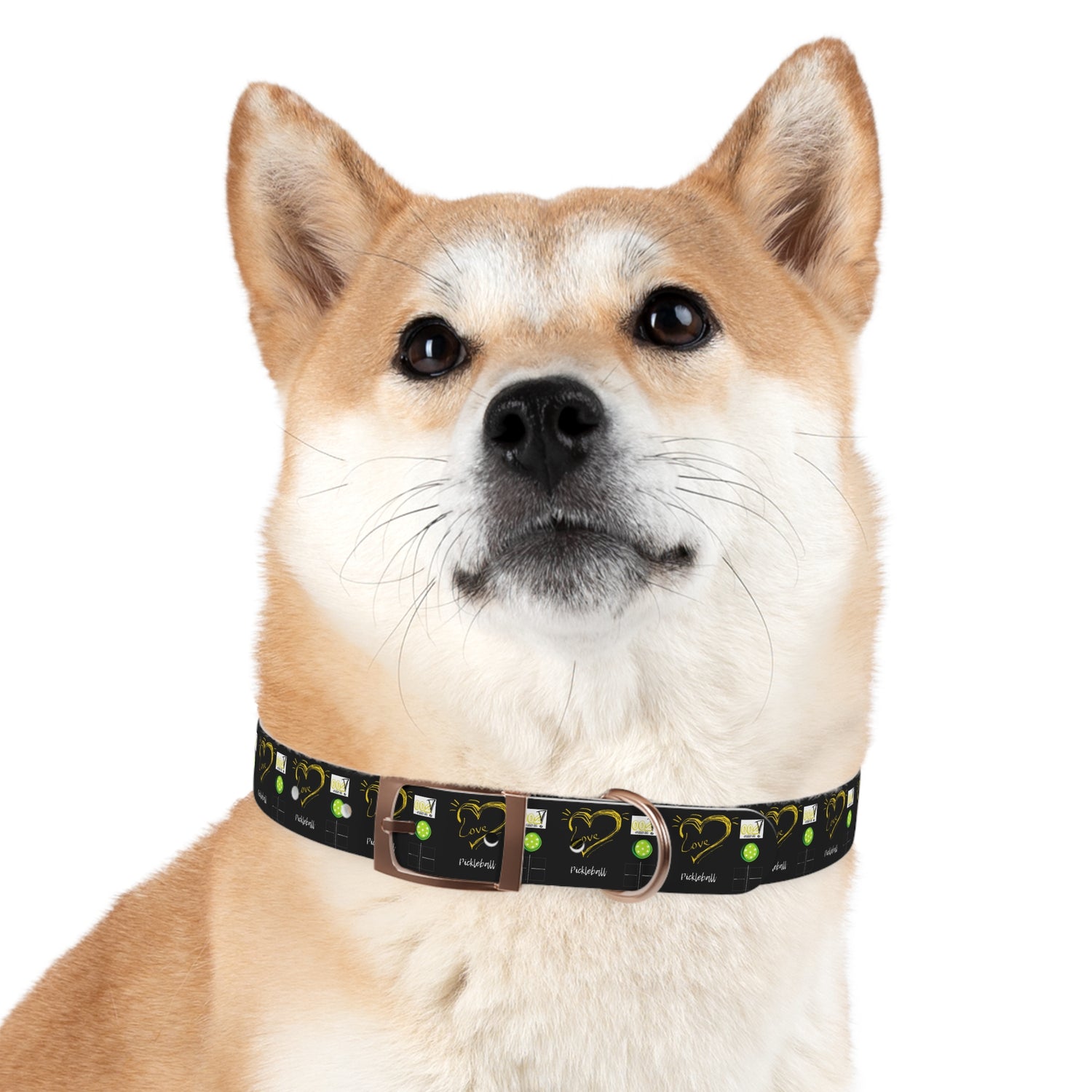 Dog Collar - Pickleball Love Unique Stand Out Design - Perfect for Pet Owners