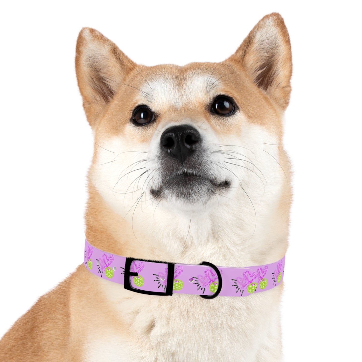 Dog Collar - Pickleball Love Unique Stand Out Design - Perfect for Pet Owners