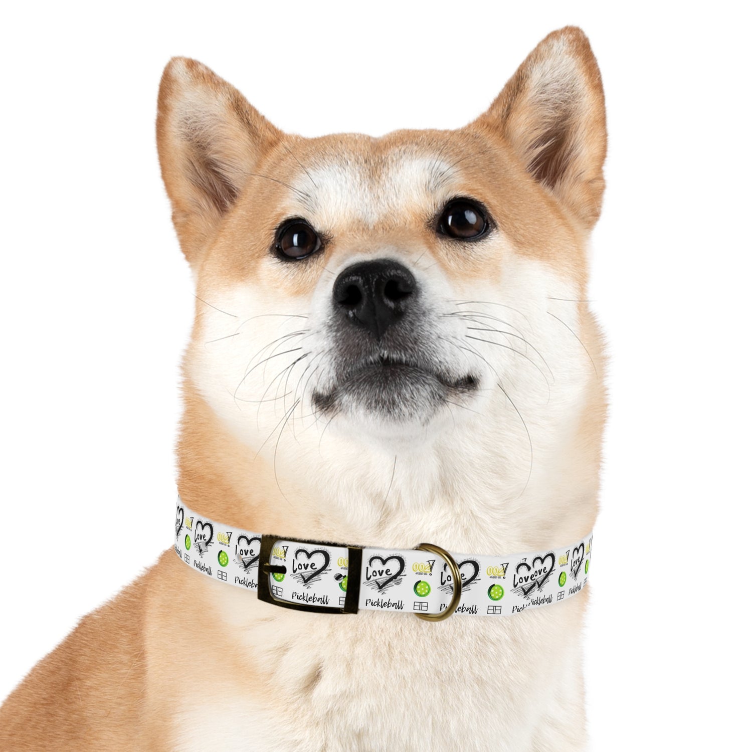 Dog Collar - Pickleball Love Unique Stand Out Design - Perfect for Pet Owners