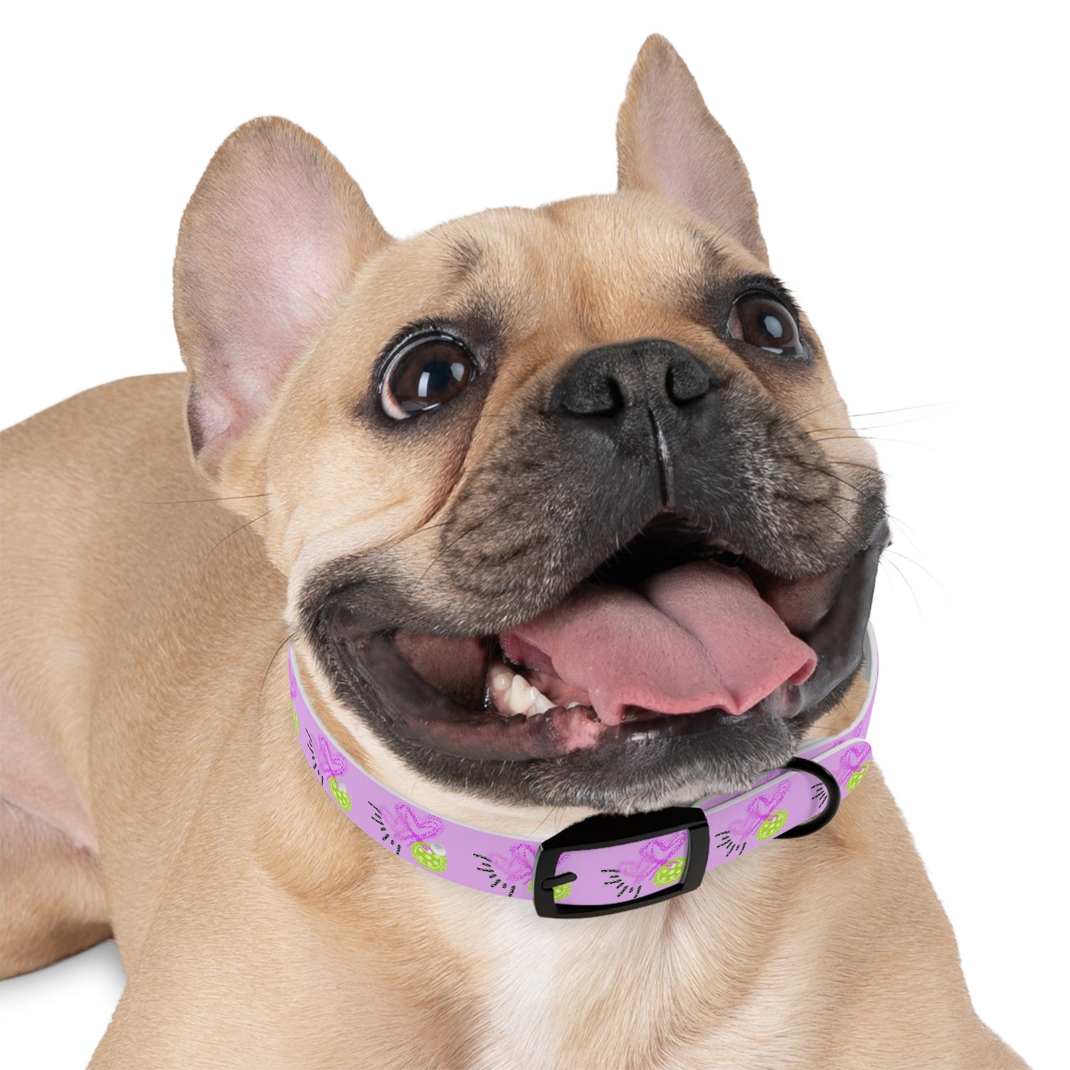 Dog Collar - Pickleball Love Unique Stand Out Design - Perfect for Pet Owners