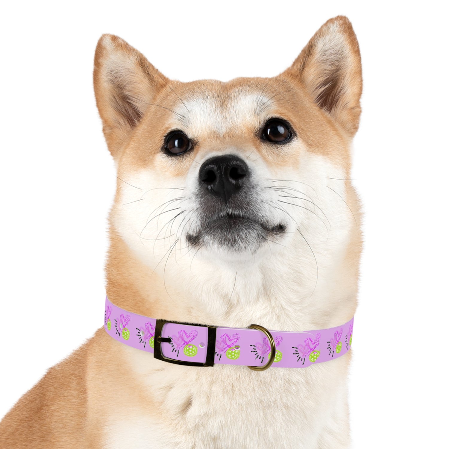 Dog Collar - Pickleball Love Unique Stand Out Design - Perfect for Pet Owners
