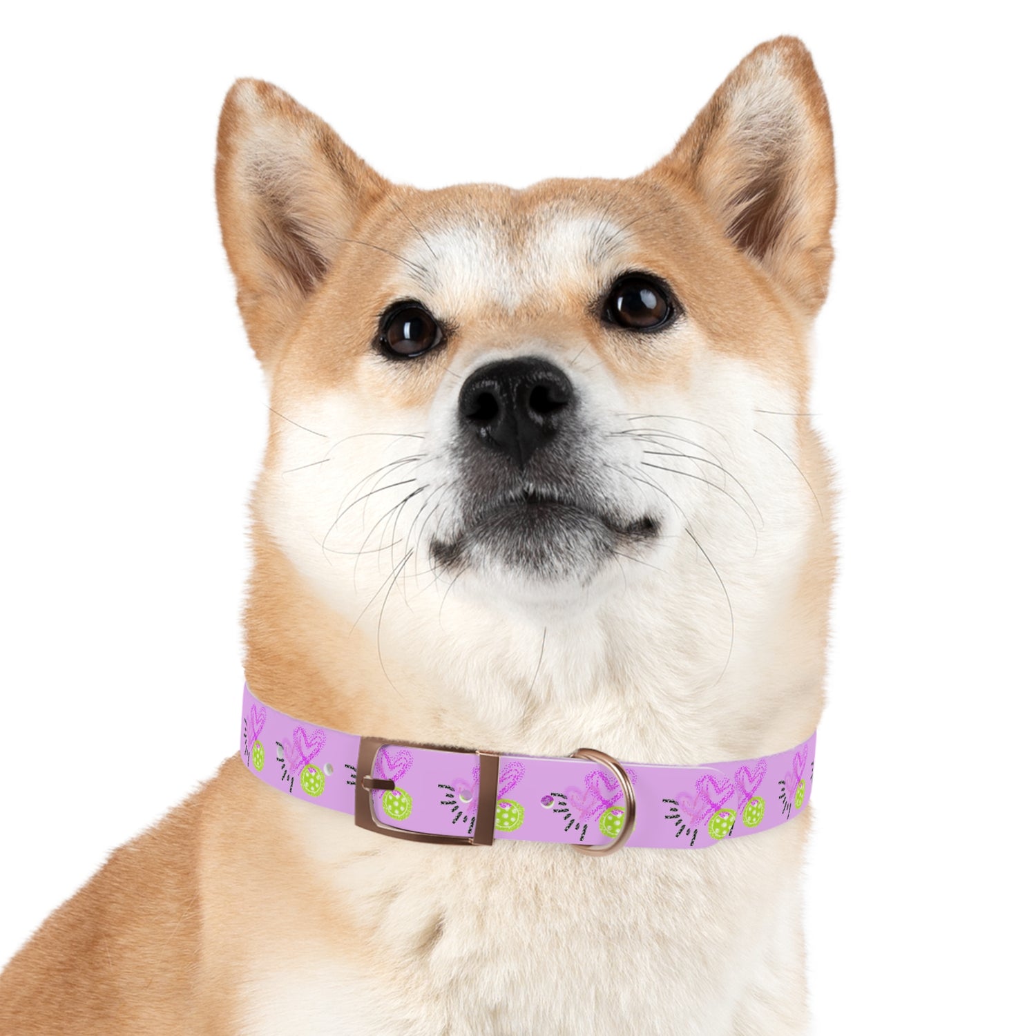 Dog Collar - Pickleball Love Unique Stand Out Design - Perfect for Pet Owners
