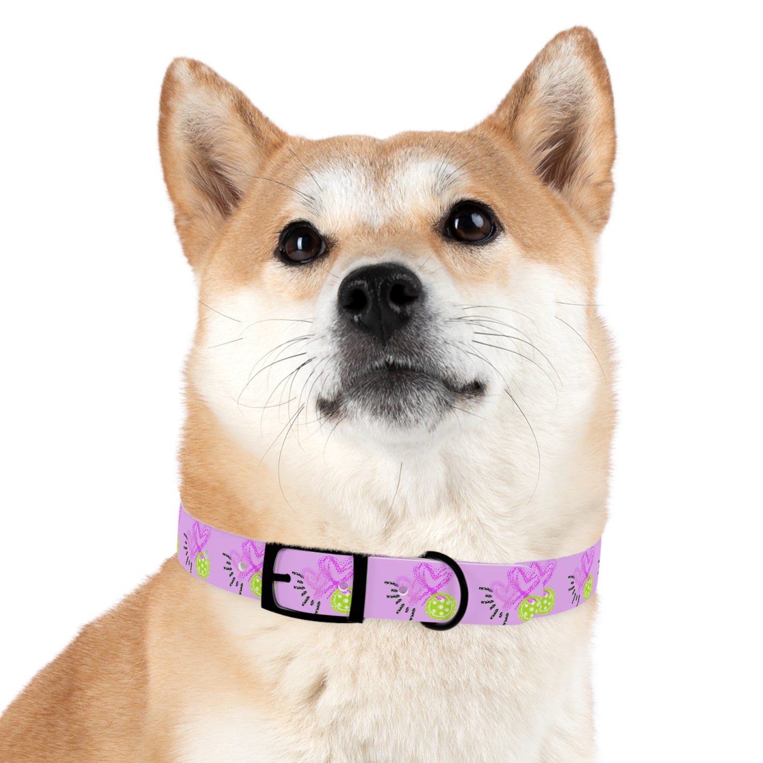 Dog Collar - Pickleball Love Unique Stand Out Design - Perfect for Pet Owners