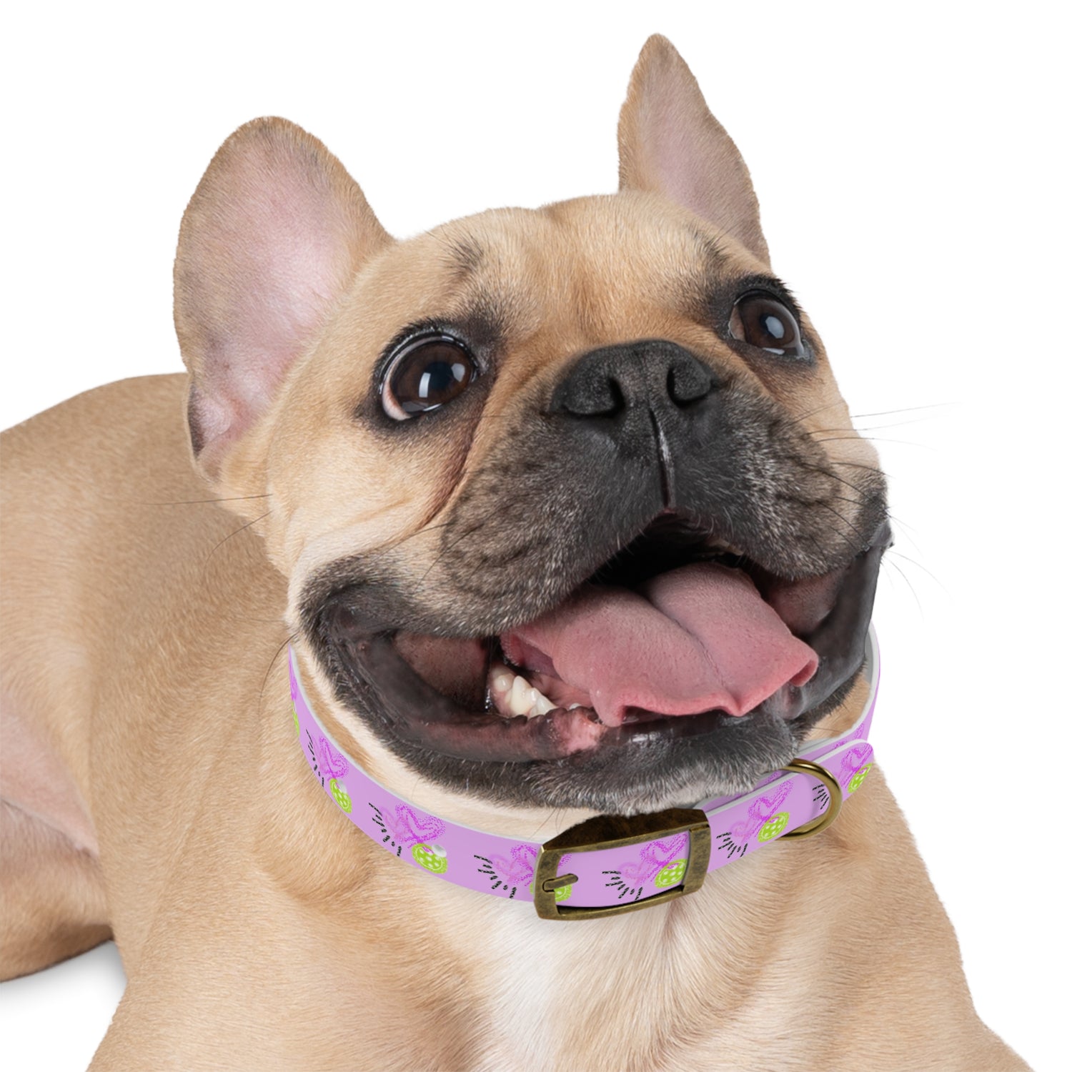 Dog Collar - Pickleball Love Unique Stand Out Design - Perfect for Pet Owners