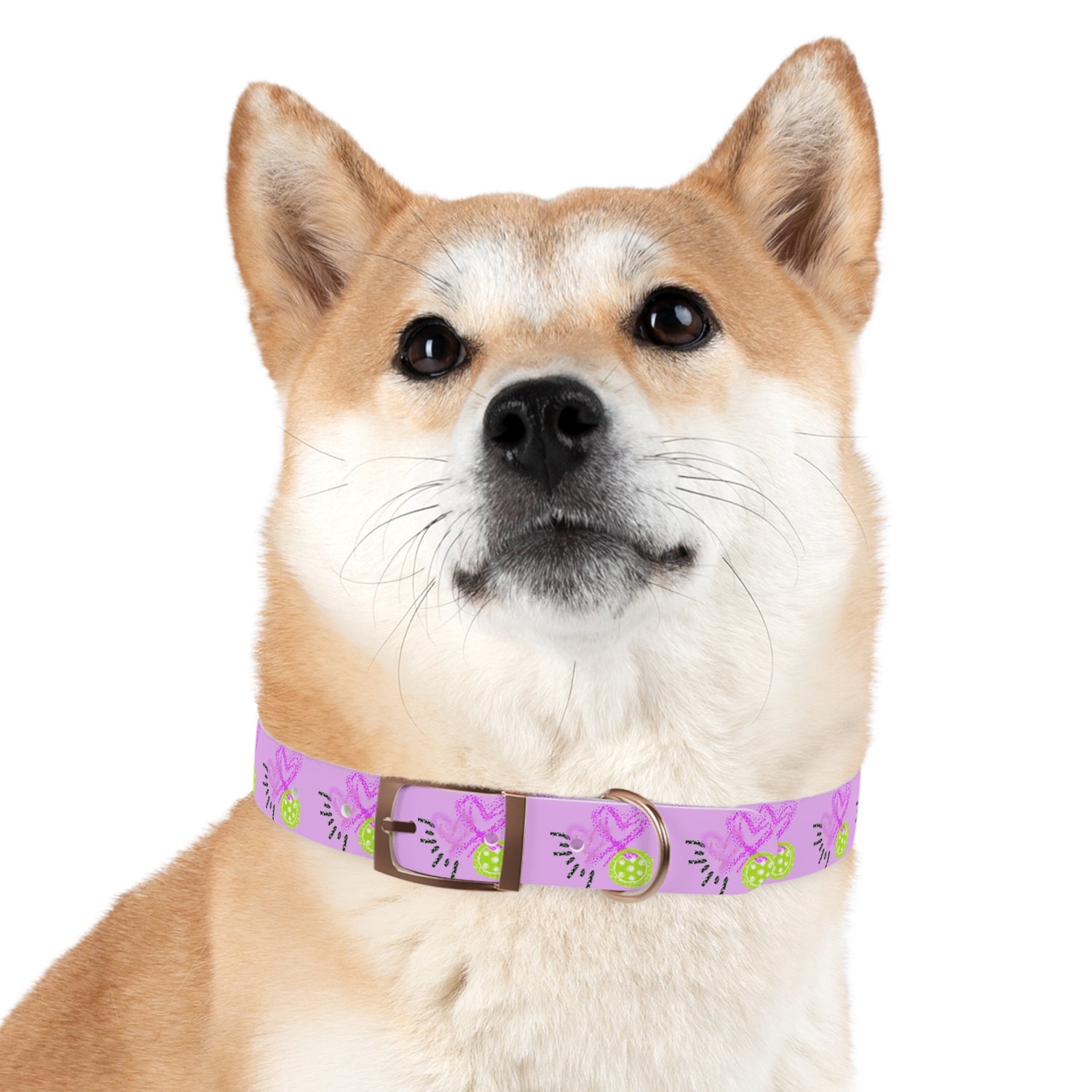 Dog Collar - Pickleball Love Unique Stand Out Design - Perfect for Pet Owners