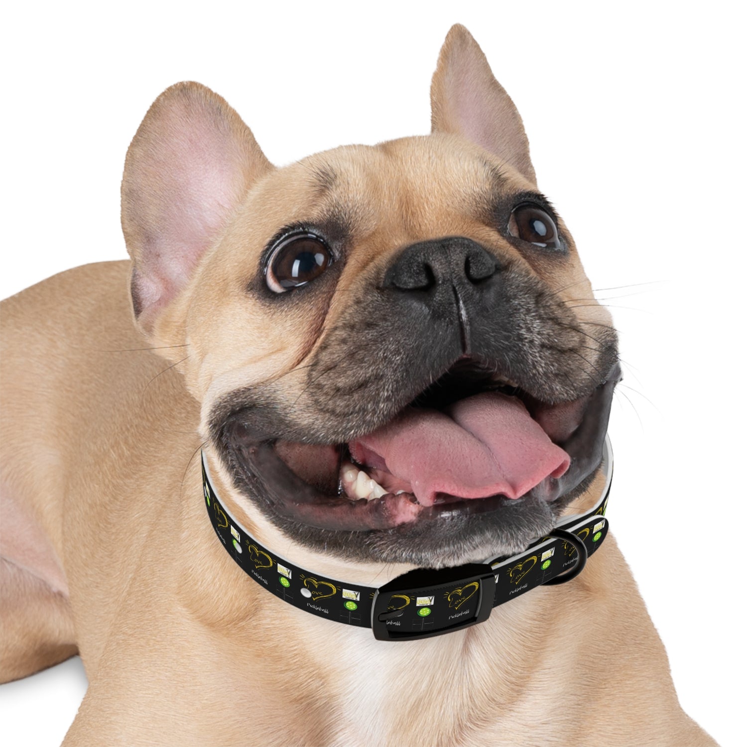 Dog Collar - Pickleball Love Unique Stand Out Design - Perfect for Pet Owners
