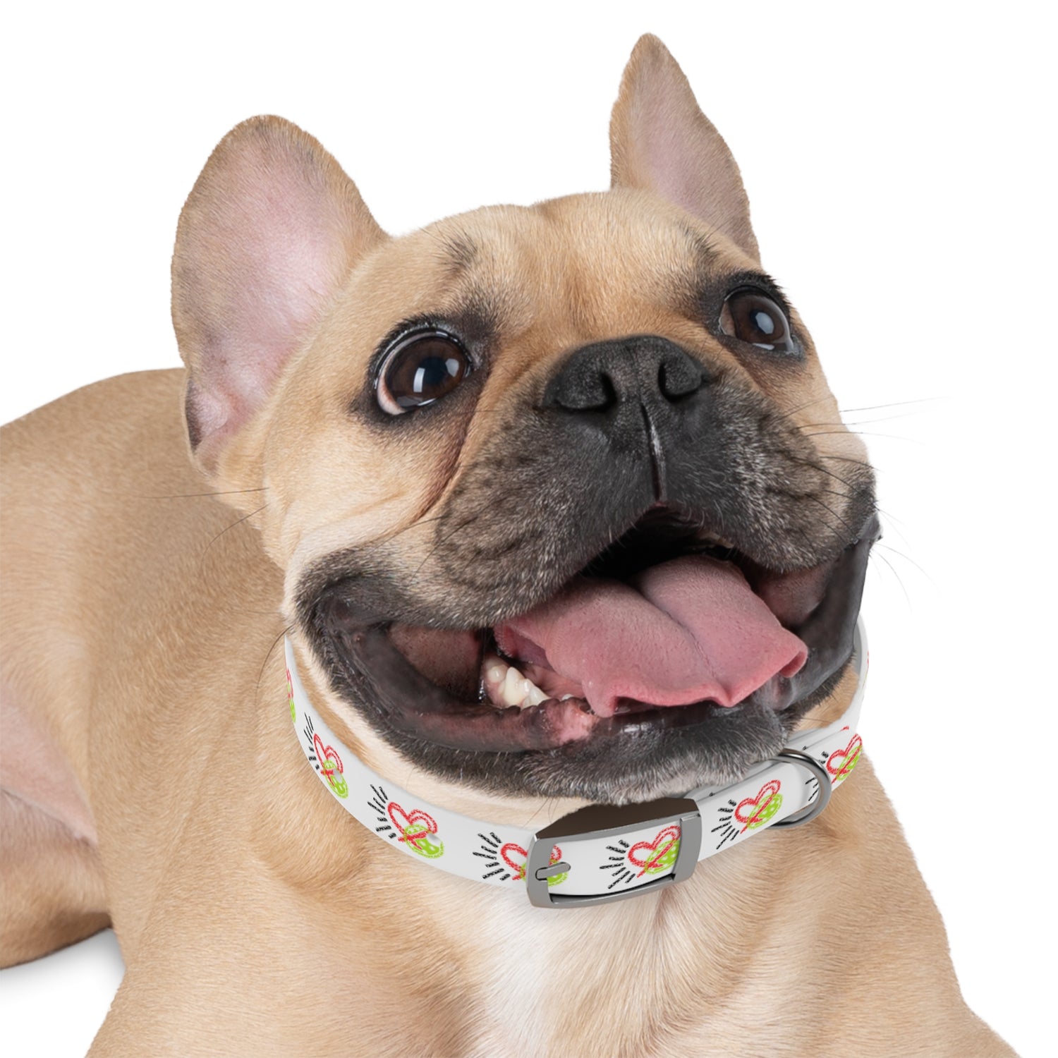 Dog Collar - Pickleball Love Unique Stand Out Design - Perfect for Pet Owners