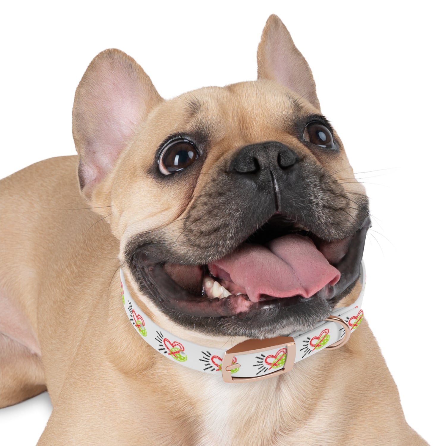 Dog Collar - Pickleball Love Unique Stand Out Design - Perfect for Pet Owners