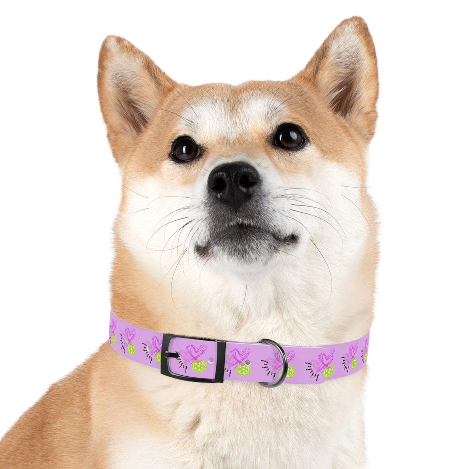 Dog Collar - Pickleball Love Unique Stand Out Design - Perfect for Pet Owners