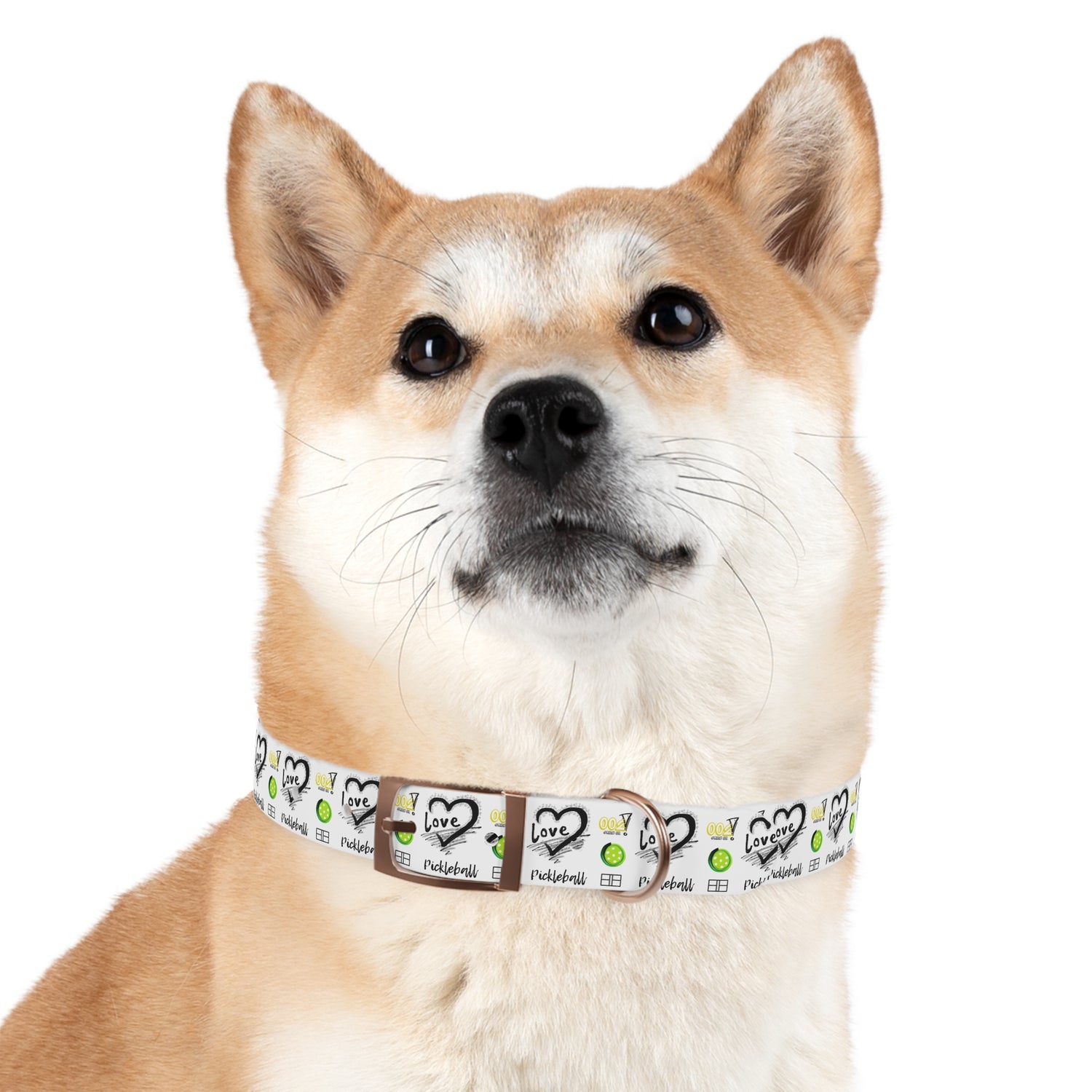 Dog Collar - Pickleball Love Unique Stand Out Design - Perfect for Pet Owners