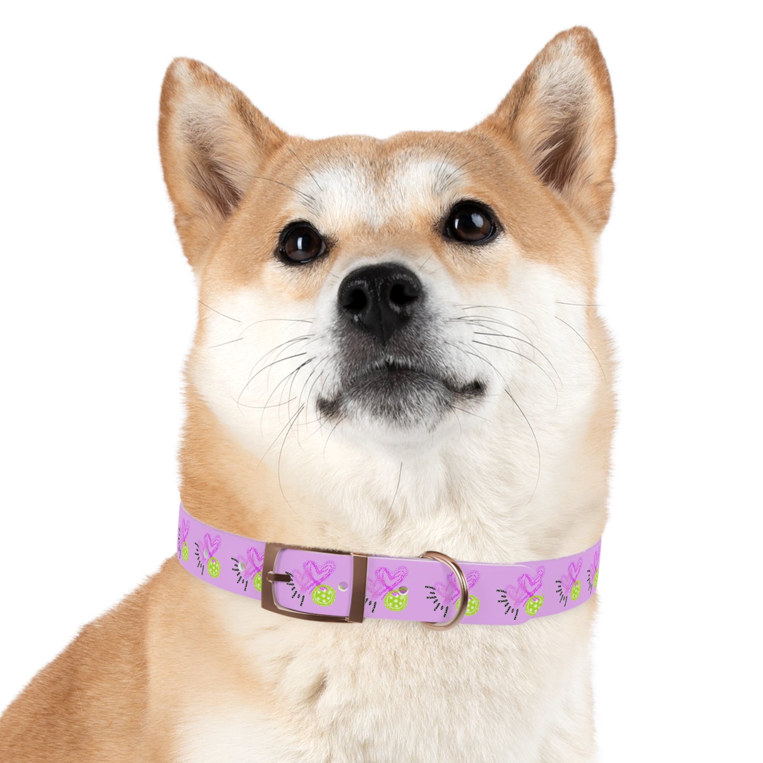Dog Collar - Pickleball Love Unique Stand Out Design - Perfect for Pet Owners
