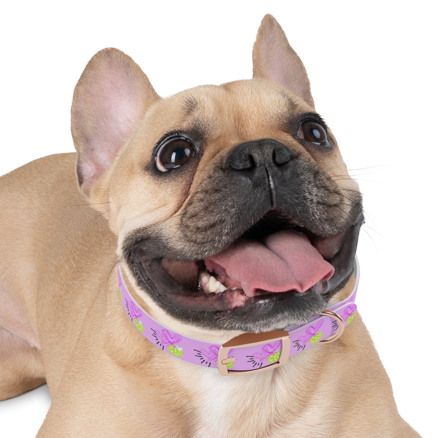 Dog Collar - Pickleball Love Unique Stand Out Design - Perfect for Pet Owners