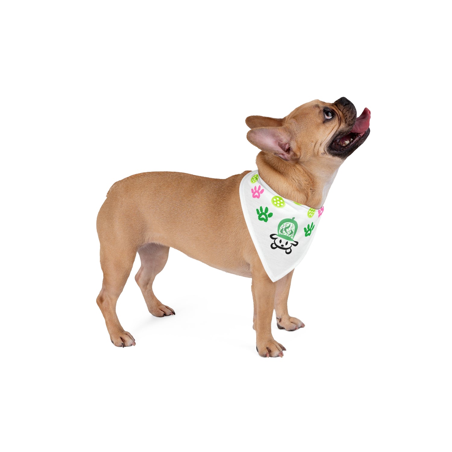 Pickleball Pet Bandana - Pickle Dog