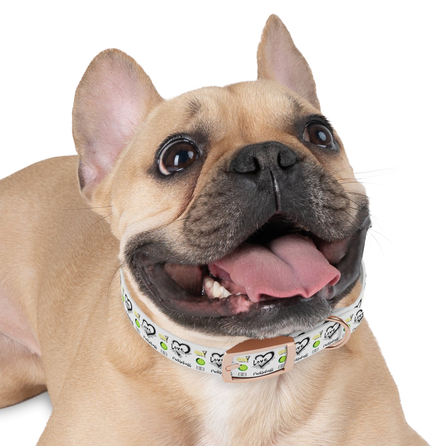 Dog Collar - Pickleball Love Unique Stand Out Design - Perfect for Pet Owners