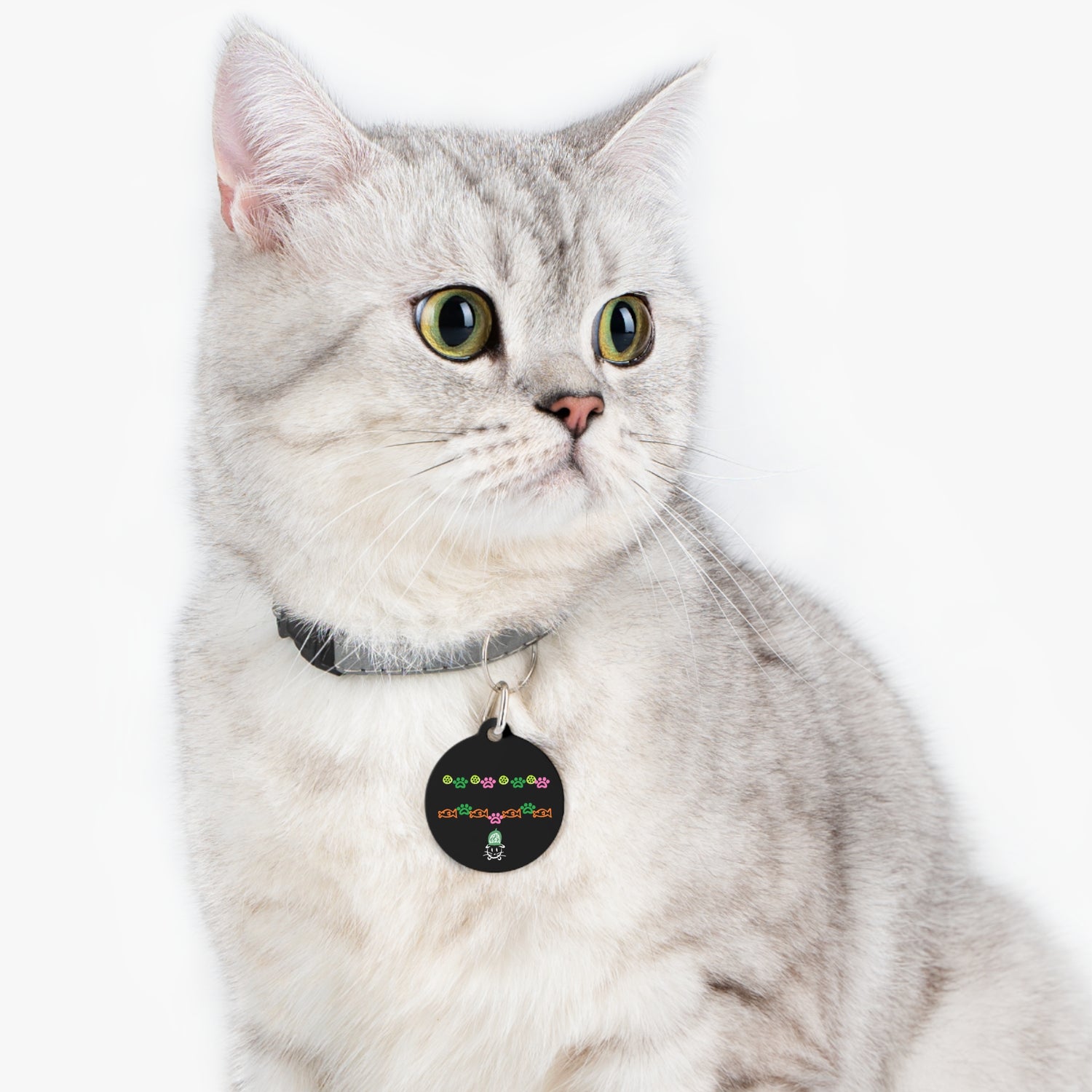 Pet Tag - Pickleball Cat Tag, Cat Paws and Fish Design - Unique Pet Accessory Gift