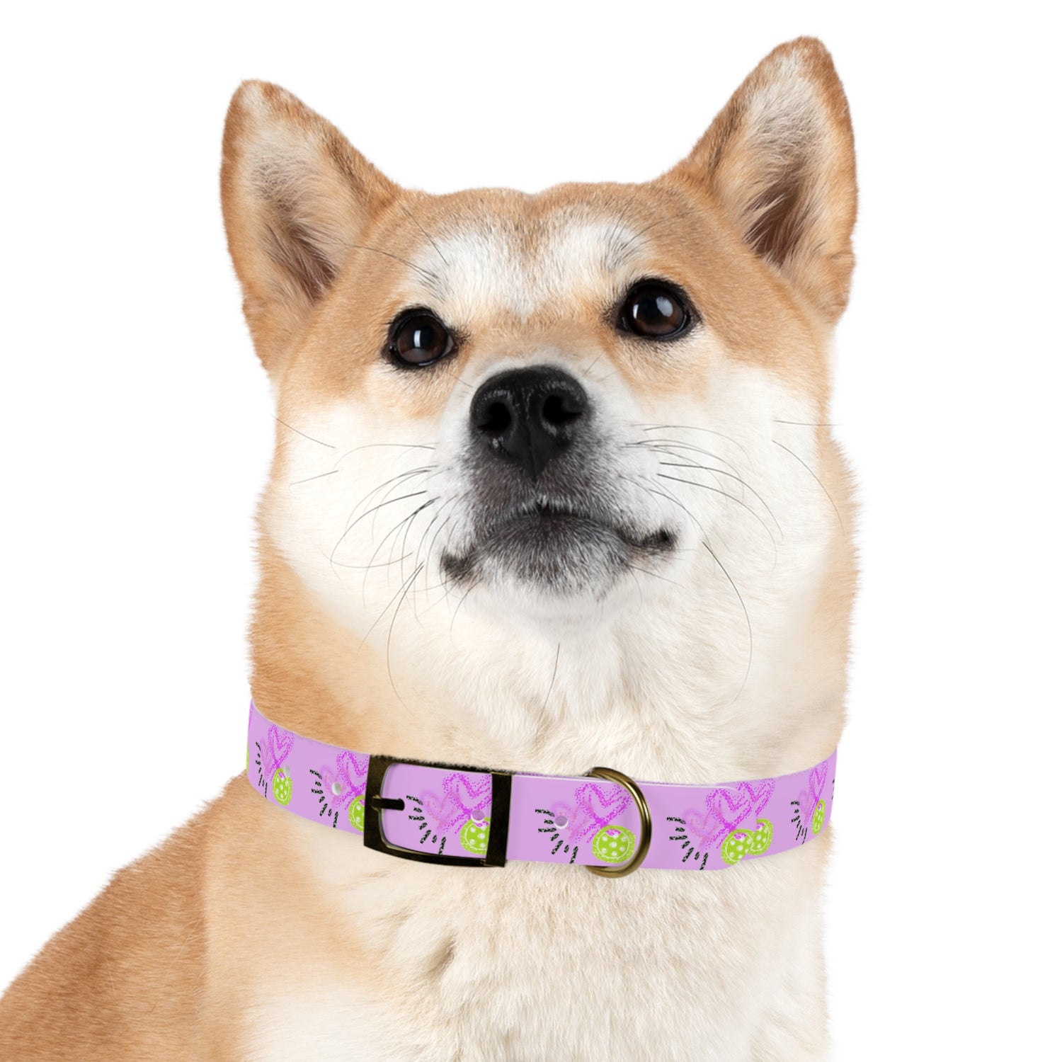 Dog Collar - Pickleball Love Unique Stand Out Design - Perfect for Pet Owners