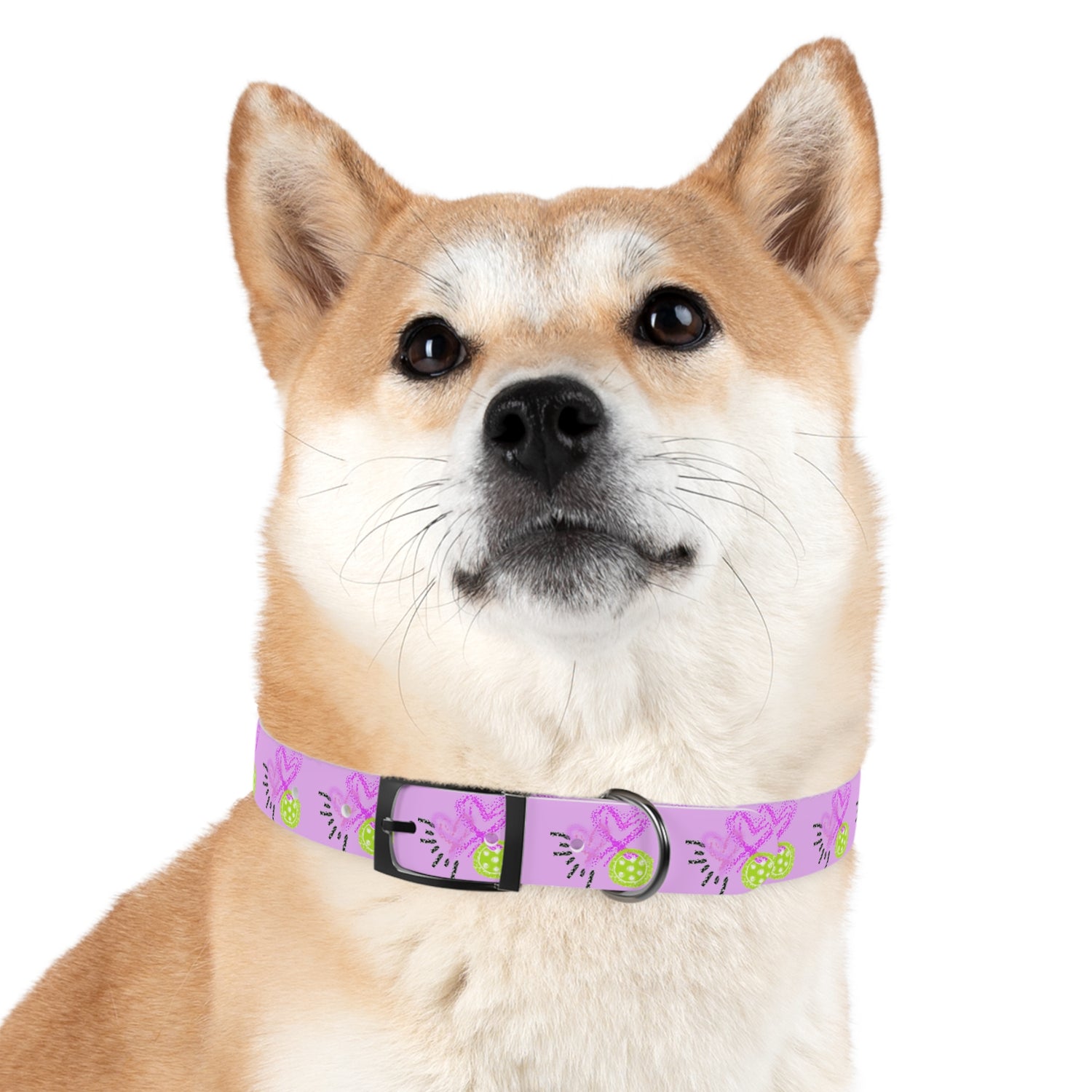 Dog Collar - Pickleball Love Unique Stand Out Design - Perfect for Pet Owners