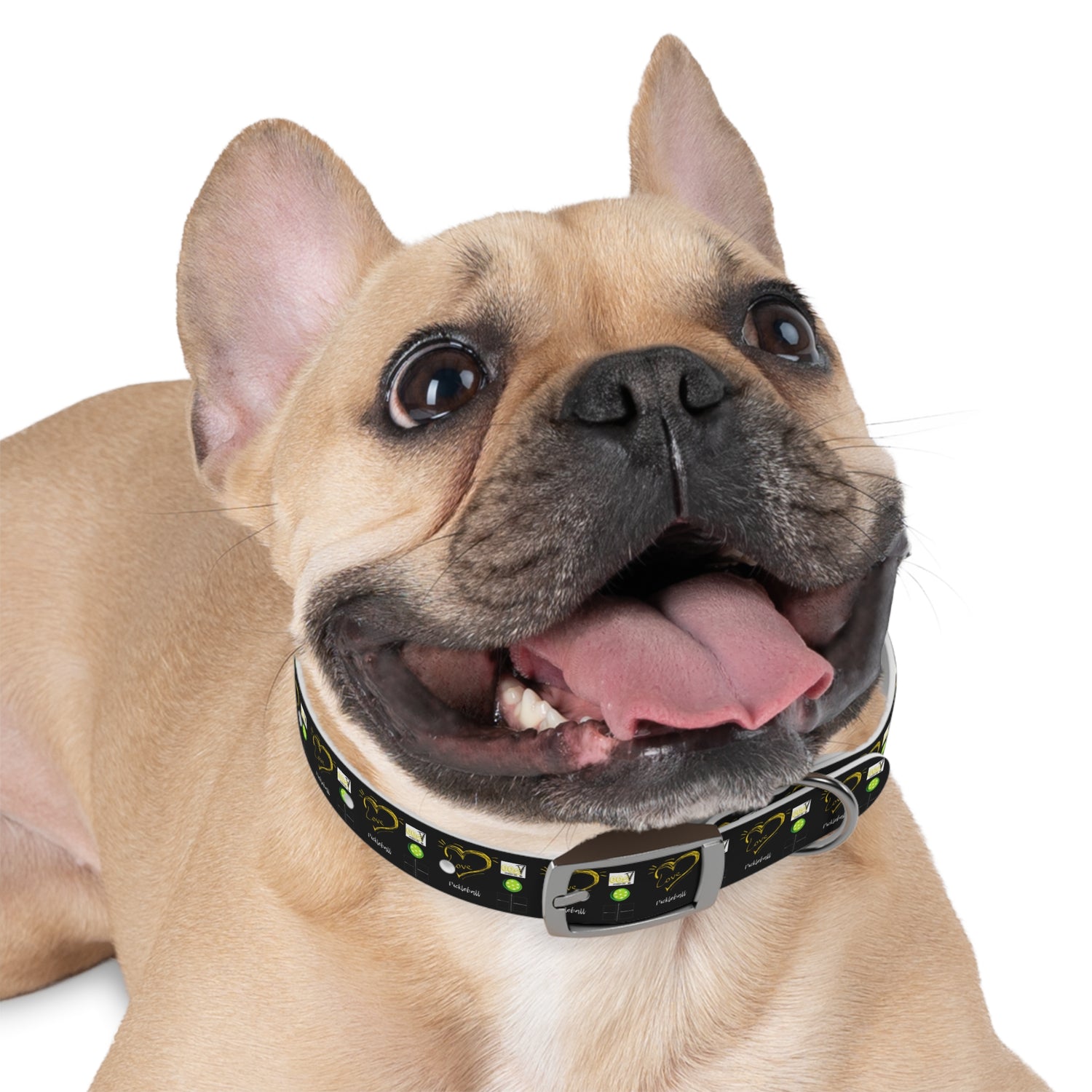 Dog Collar - Pickleball Love Unique Stand Out Design - Perfect for Pet Owners