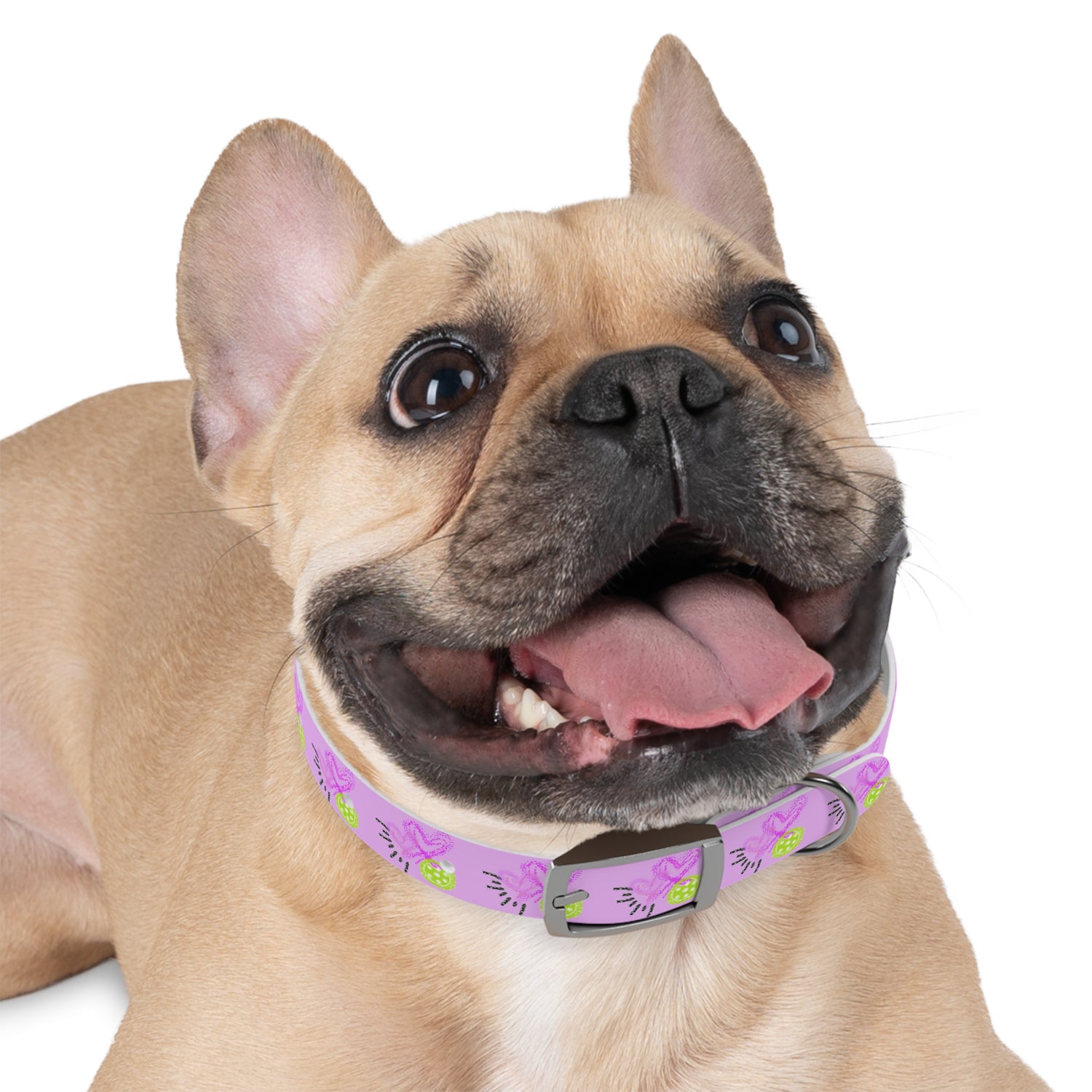 Dog Collar - Pickleball Love Unique Stand Out Design - Perfect for Pet Owners